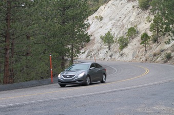 Enlarge photo 27