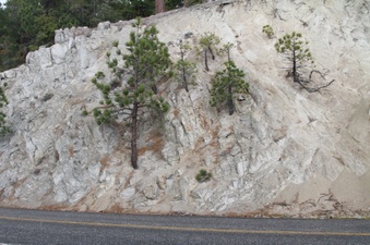 Enlarge photo 30