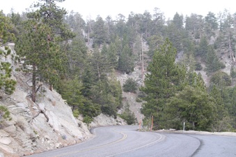 Enlarge photo 33