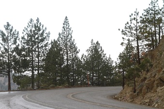 Enlarge photo 35