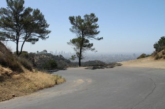 Enlarge photo 3
