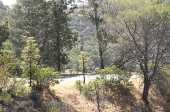 Enlarge photo 9
