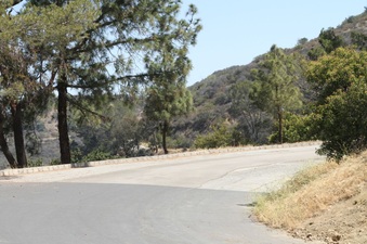 Enlarge photo 14