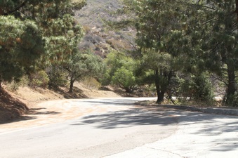 Enlarge photo 15