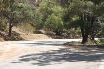 Enlarge photo 16