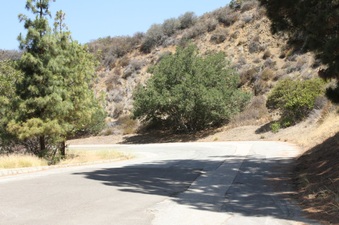Enlarge photo 18