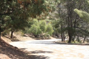 Enlarge photo 19