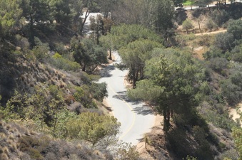 Enlarge photo 20