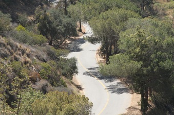 Enlarge photo 21
