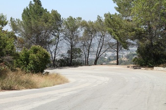 Enlarge photo 23