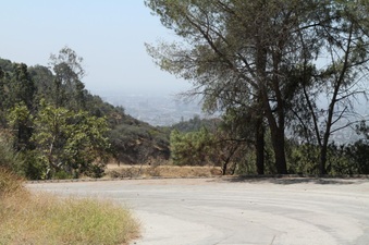 Enlarge photo 25