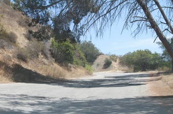 Griffith Park-Vista Del Valle