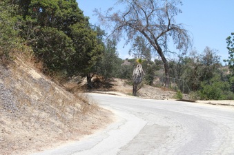Enlarge photo 3