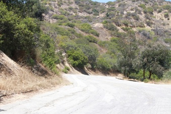 Enlarge photo 5