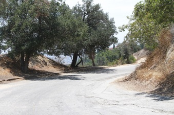 Enlarge photo 6