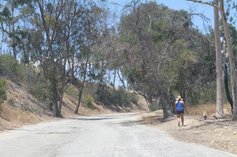 Enlarge photo 13
