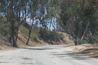 Enlarge photo 12