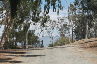 Enlarge photo 14