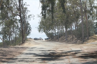 Enlarge photo 15