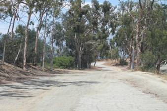 Enlarge photo 16