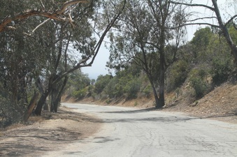 Enlarge photo 17