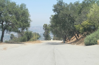 Enlarge photo 19