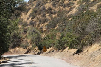 Enlarge photo 4