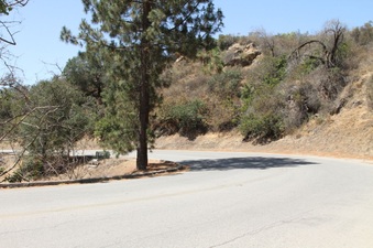 Enlarge photo 7