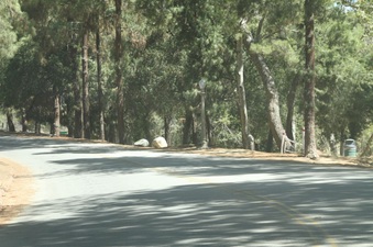Enlarge photo 11