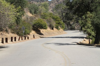 Enlarge photo 13