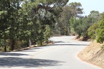 Enlarge photo 14