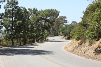Enlarge photo 15