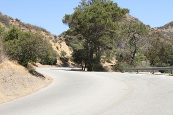 Enlarge photo 16