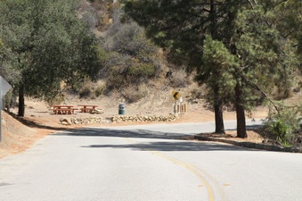 Enlarge photo 19