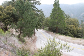 Enlarge photo 13