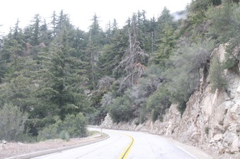 Enlarge photo 14