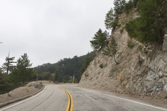 Enlarge photo 15
