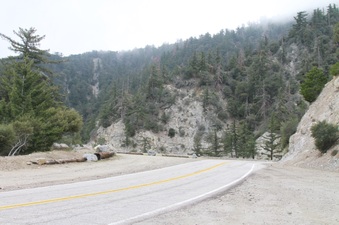 Enlarge photo 16