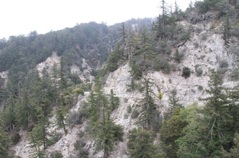 Enlarge photo 23