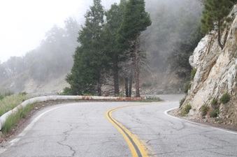 Enlarge photo 30