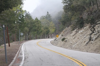 Enlarge photo 31