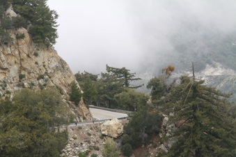 Enlarge photo 35