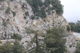 Enlarge photo 36