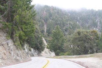 Enlarge photo 40