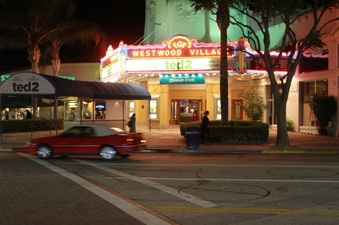Enlarge photo 35