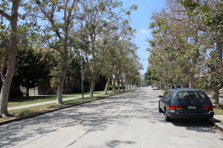 Enlarge photo 1