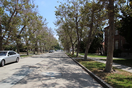 Enlarge photo 26