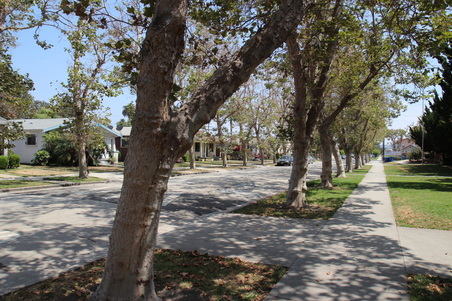 Enlarge photo 30