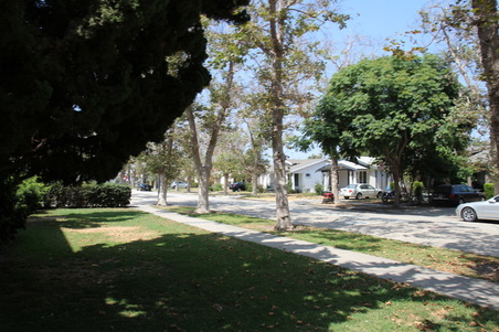Enlarge photo 33