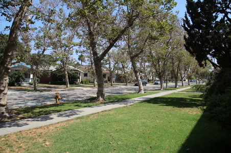 Enlarge photo 35